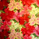 174 Weihnachten Blumen - 3-lagig - Caspari